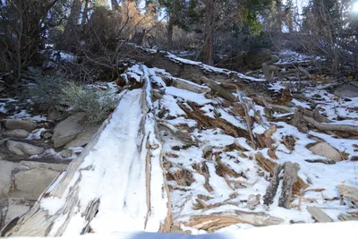 DSC_5073 (Large).JPG